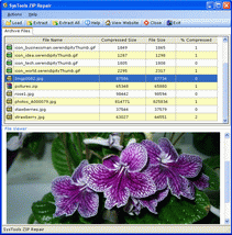 Screenshot for Cannot Open Zip File 3.0